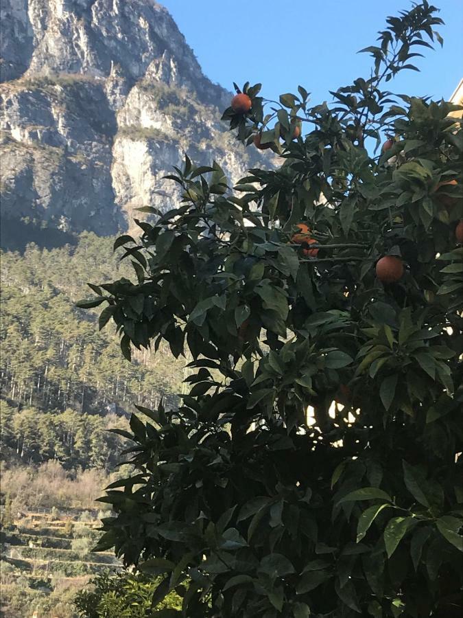 Casa Nika Riva del Garda Exterior foto